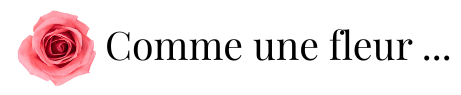 logo de l'entreprise  Comme Une Fleur