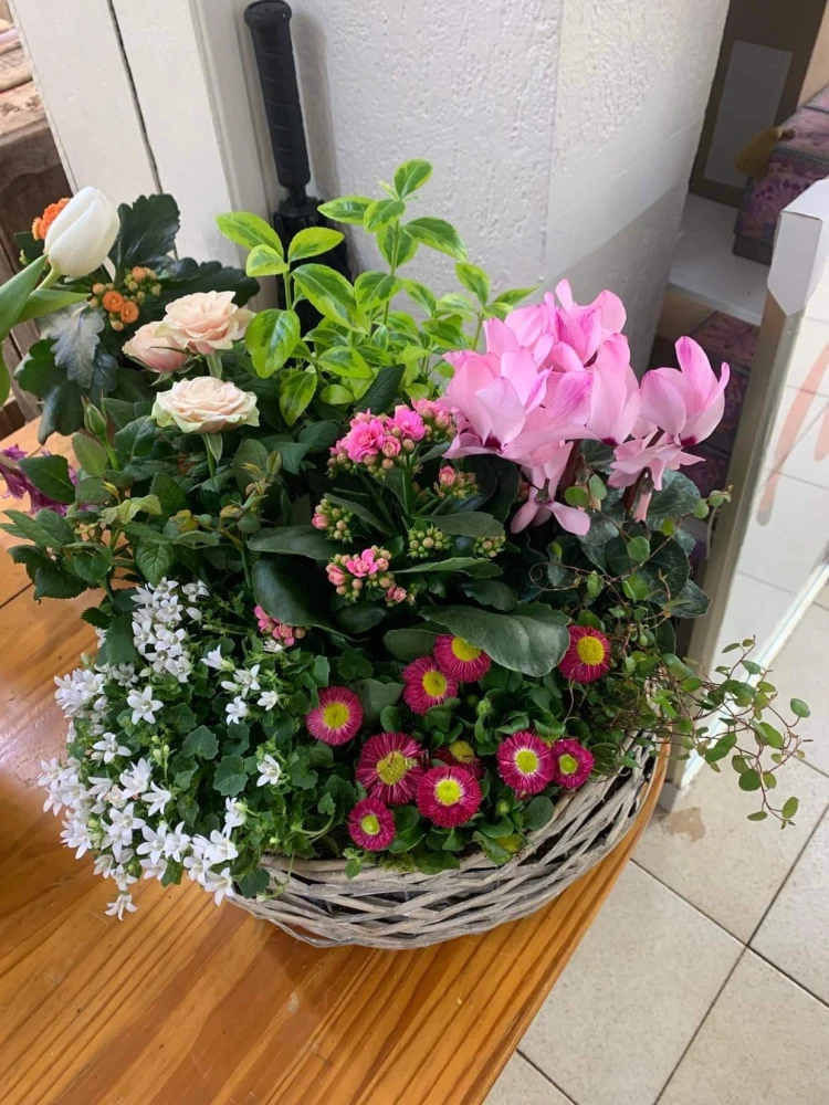 Panier de plantes fleuries