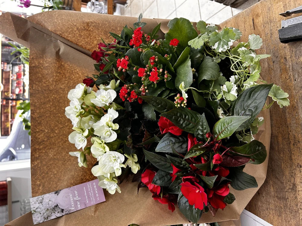 Coupe de plantes fleuries 